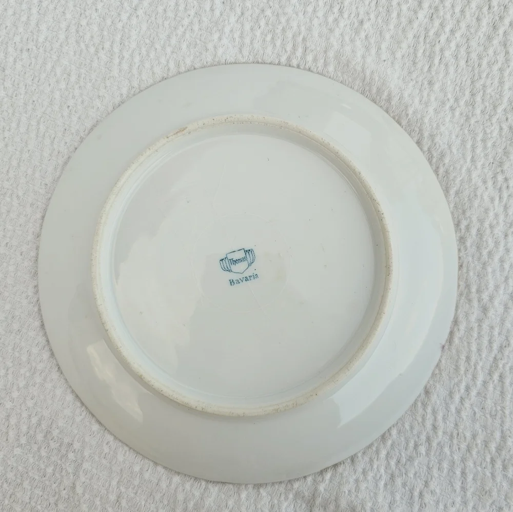 Thomas Bavaria Collectors Porcelain Plate Pink Flowers gold rim plate size 7.5